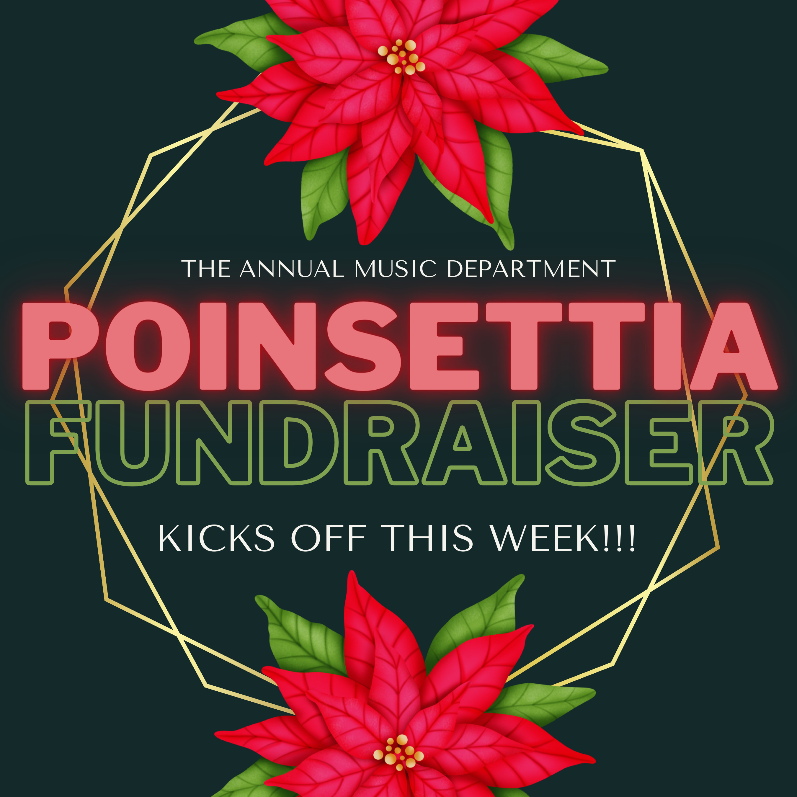 poinsettia fundraiser